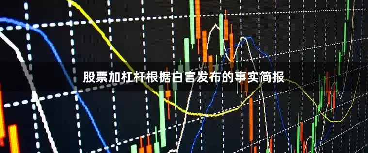 股票加杠杆　　根据白宫发布的事实简报